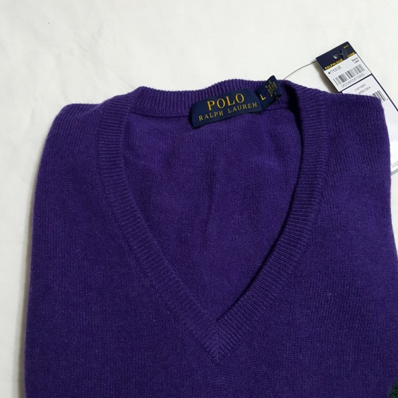 Polo Ralph Lauren Other - Polo RL v-neck sweater, sz L